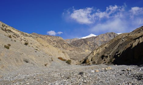 Interesting facts about Dolpo treks au Népal
